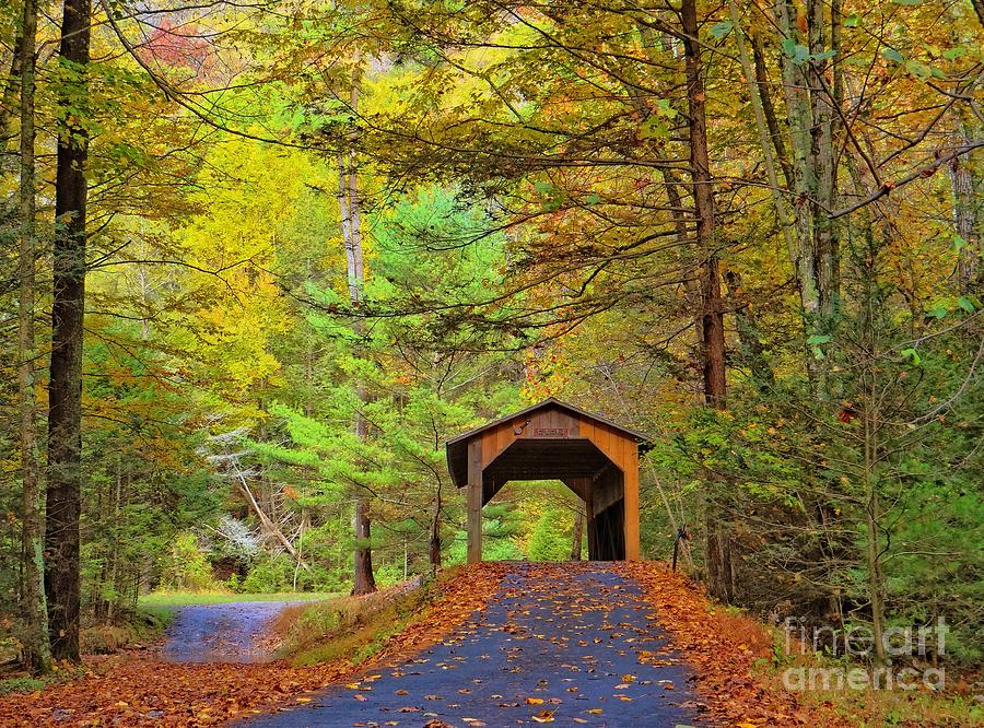 Fall Photograph - Autumn Bridge by Michael Griffiths