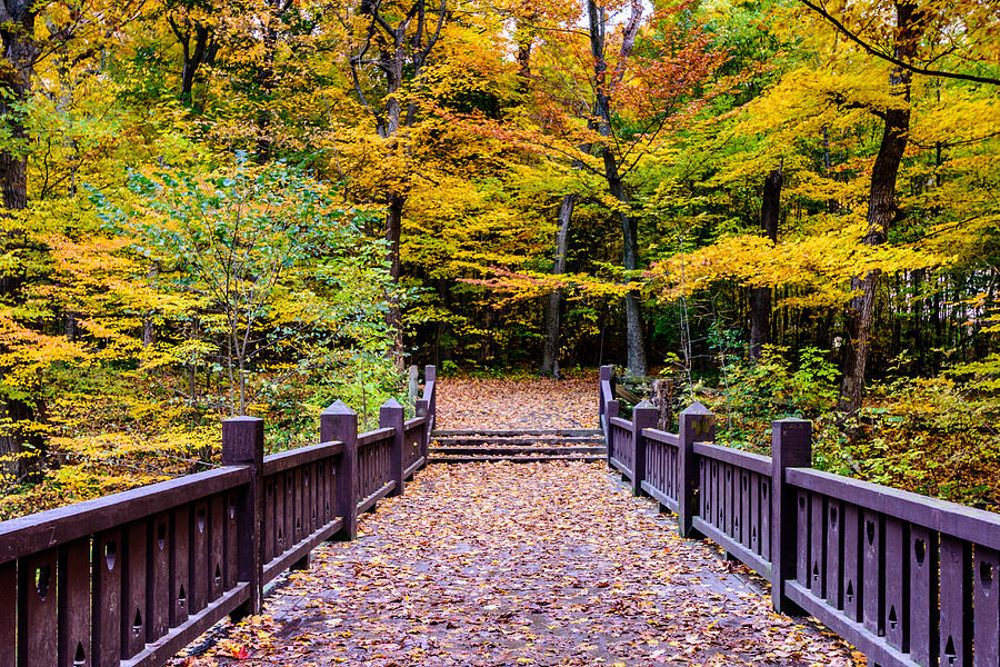 Autumn Bridge Photograph by Randy Scherkenbach