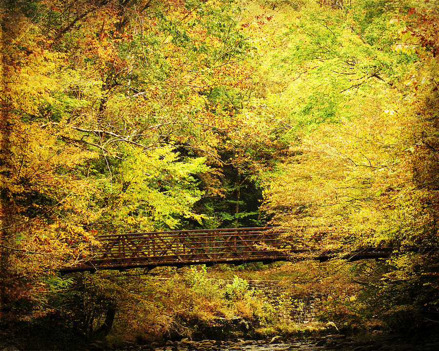 Autumn Bridge Photograph by TnBackroadsPhotos 