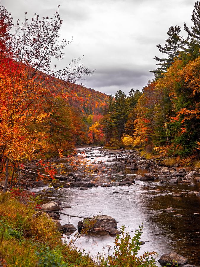 Autumn Brook Photograph by Jim DeLillo