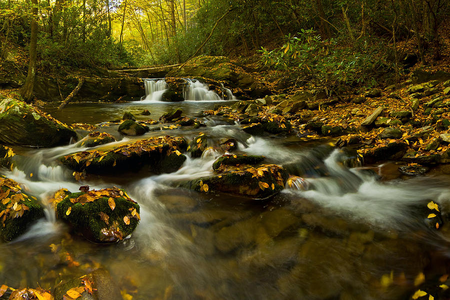 Autumn by the creek. Photograph by Ulrich Burkhalter
