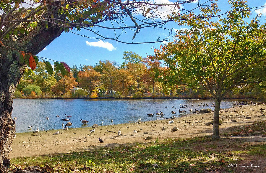 Fall Photograph - Autumn by the lake by Larry Ferreira