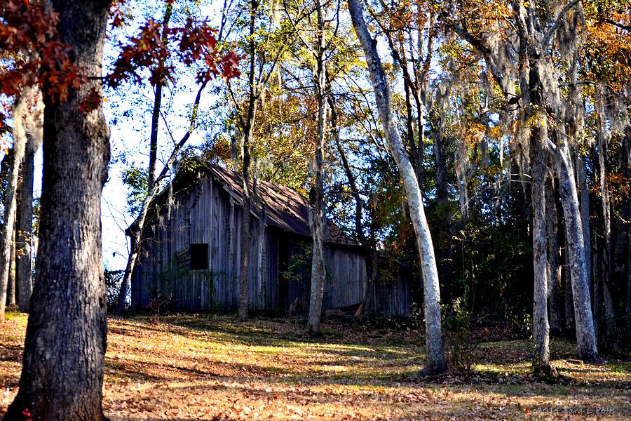 Autumn Cabin Photograph by Tara Potts