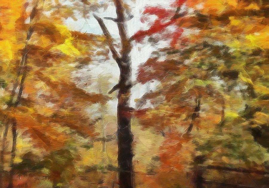 Autumn Canvas Painting by Dan Sproul