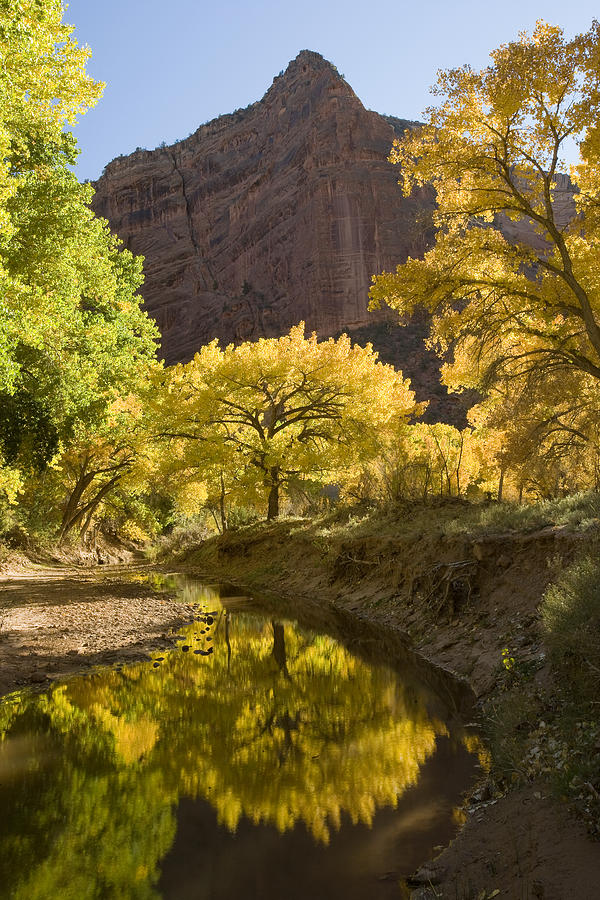 Autumn Canyon De Chelly Photograph by Tom Vezo