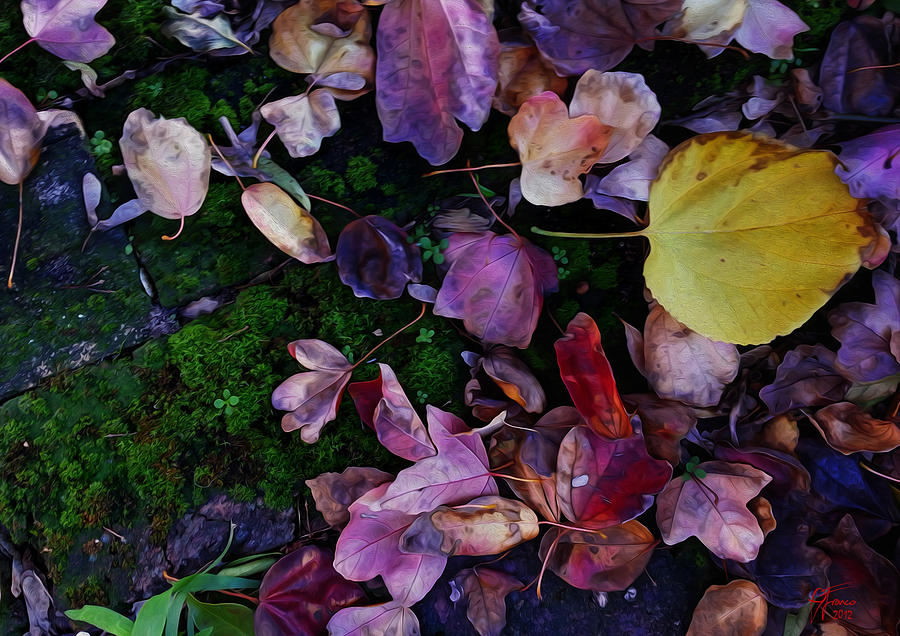 Autumn Carpet Digital Art by Vincent Franco