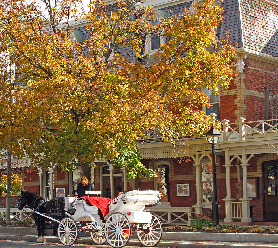 Autumn Carriage for Hire Photograph by Barbara McDevitt