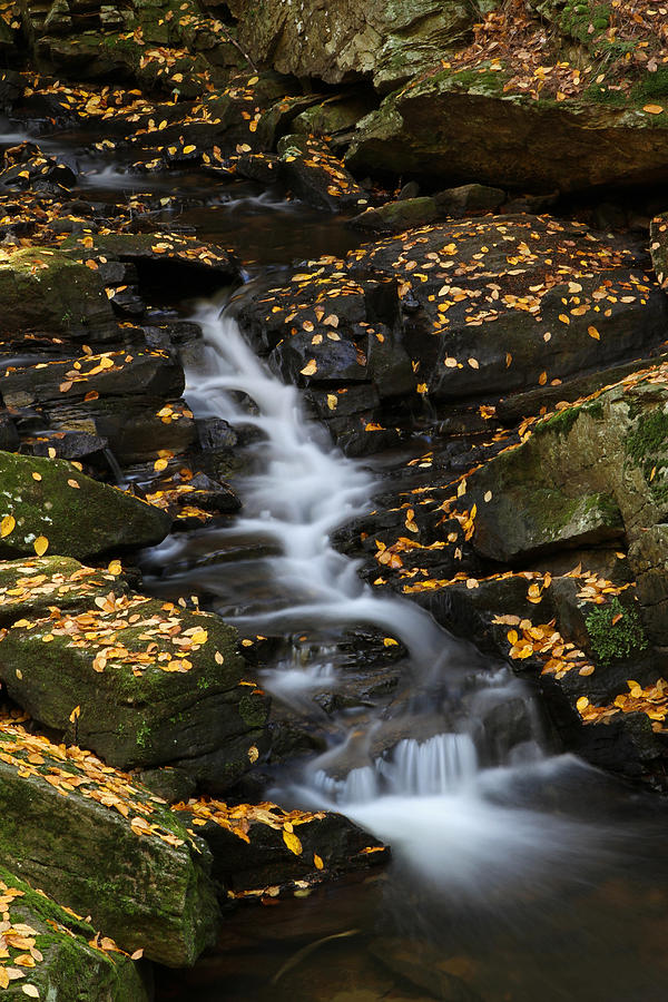 Autumn Cascade at Chesterfield Gorge - New Hampshire Photograph by Juergen Roth