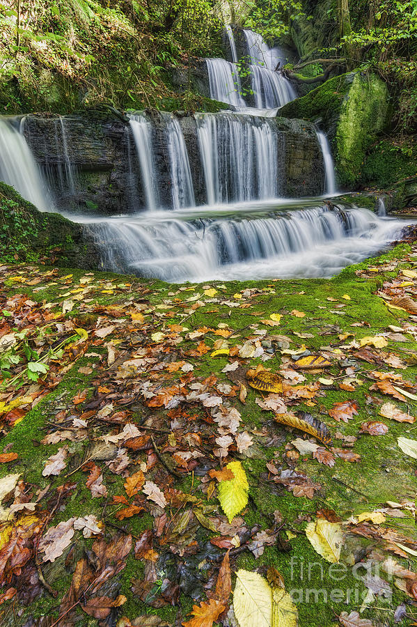 Autumn Cascade Photograph by Ian Mitchell