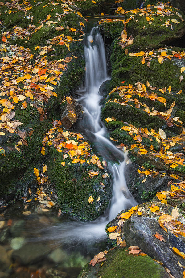 Autumn Cascades on Stark Falls Brook Photograph by White Mountain Images
