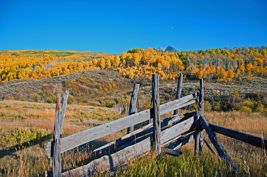 Autumn Cattle Ramp  Photograph by Eric Rundle