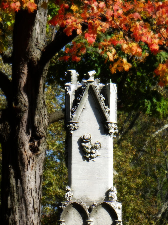 Autumn Cemetery 3 Photograph by Dark Whimsy