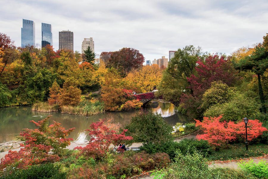 Autumn Central Park Pond Photograph by Michael Lee