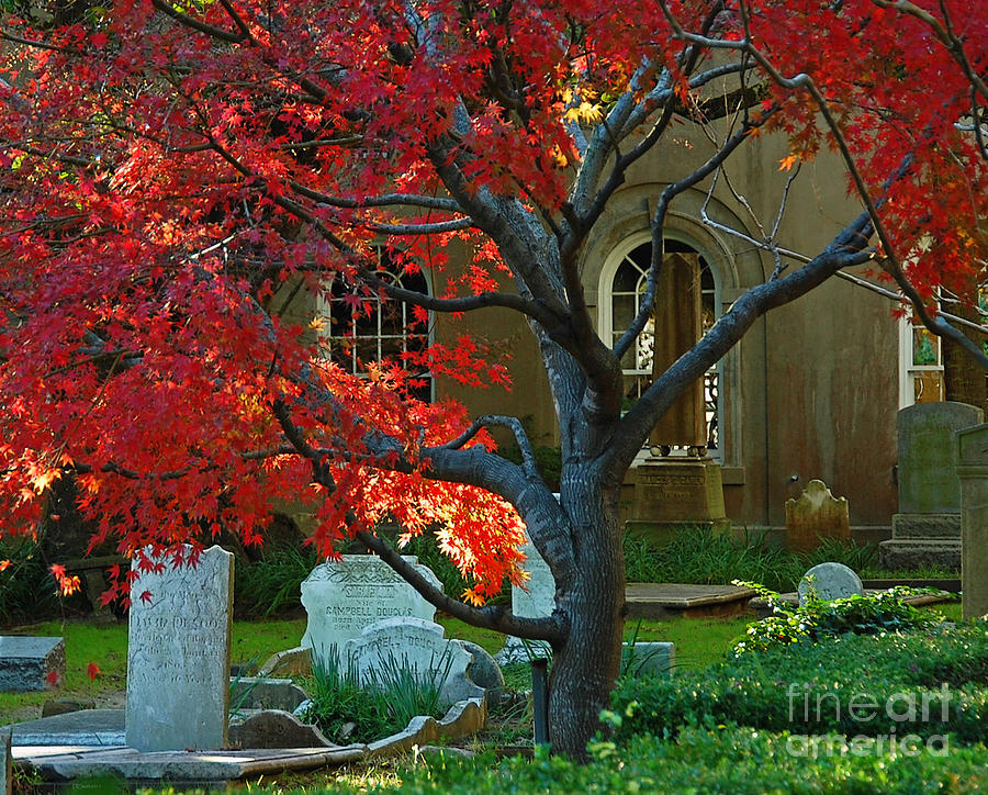 Autumn Charleston Churchyard Photograph by Deborah Smith