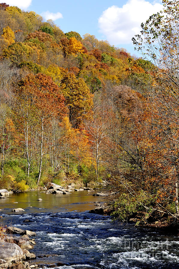 Autumn Cherry River Photograph by Thomas R Fletcher