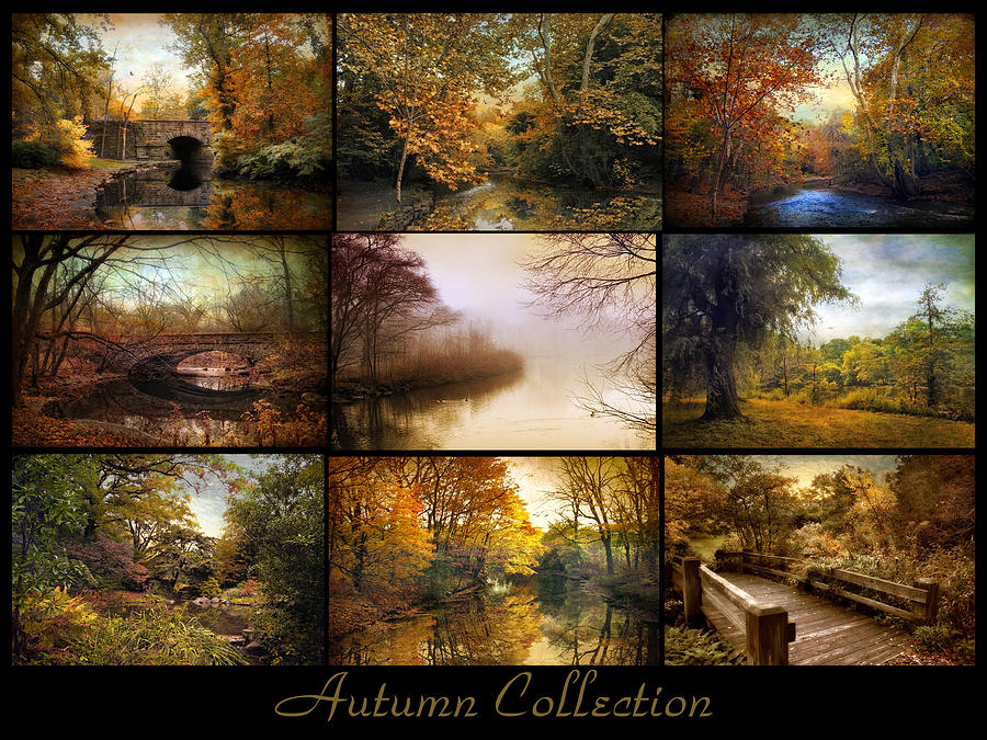 Autumn Collage Photograph by Jessica Jenney