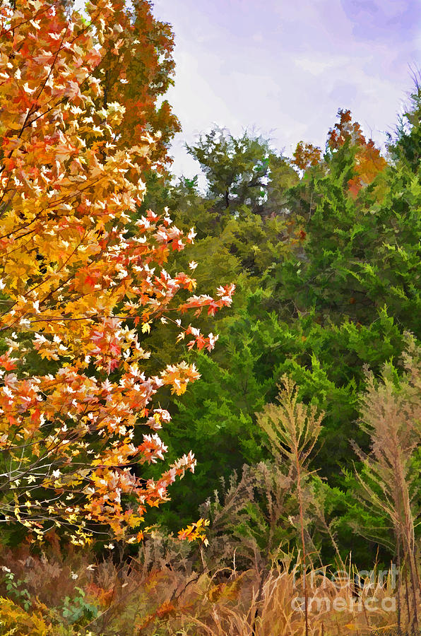 Autumn color - Digital effect Photograph by Debbie Portwood