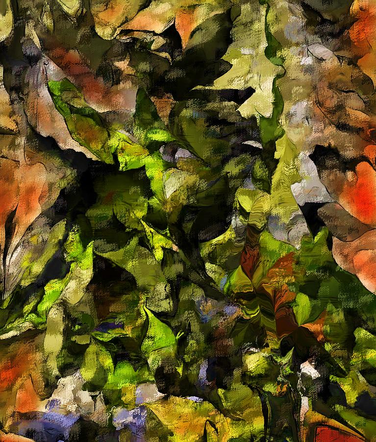 Autumn Color Abstract Digital Art by David Lane