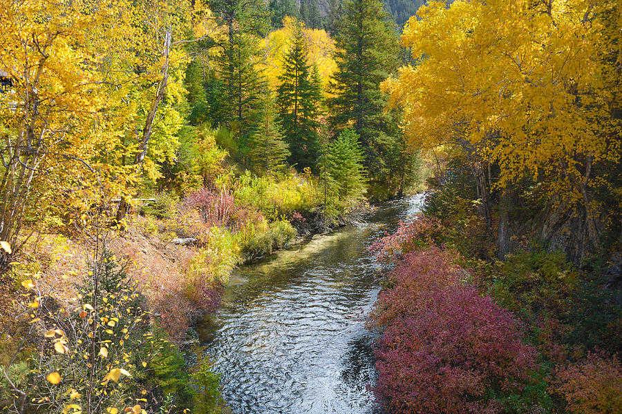 Autumn Color Along Spearfish Creek Photograph by Greni Graph