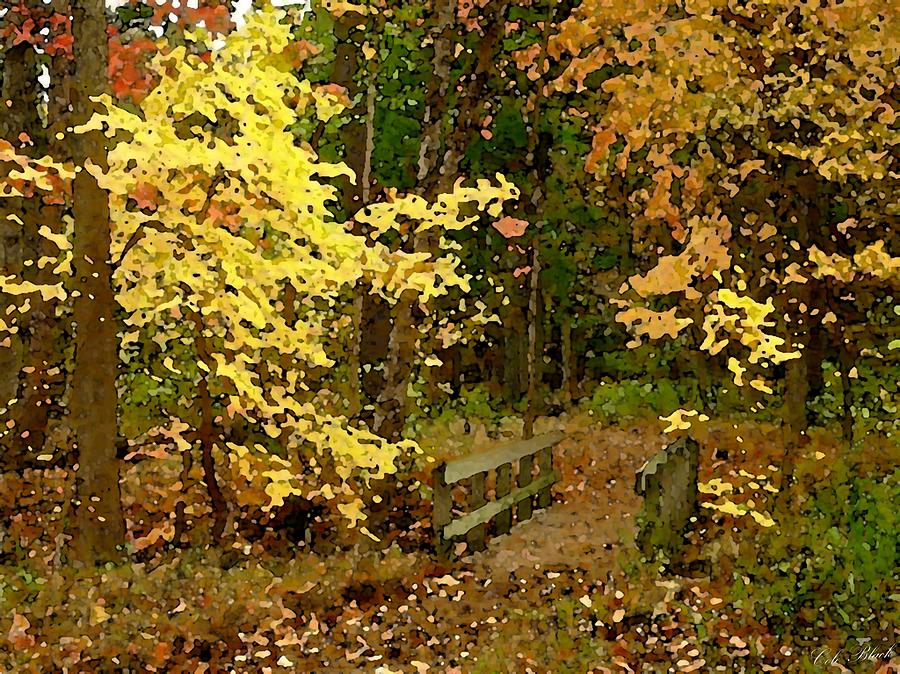 Flower Painting - Autumn Color by Cole Black