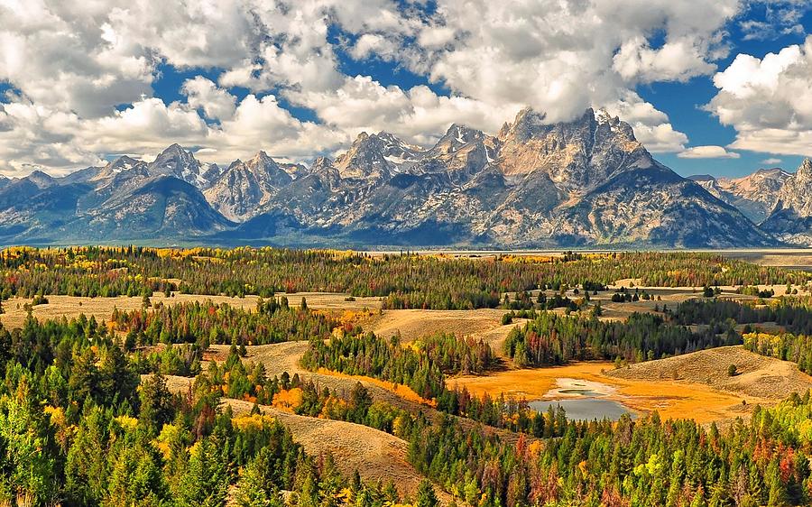 Autumn Color in Grand Teton National Park 6 Photograph by Jeff R Clow