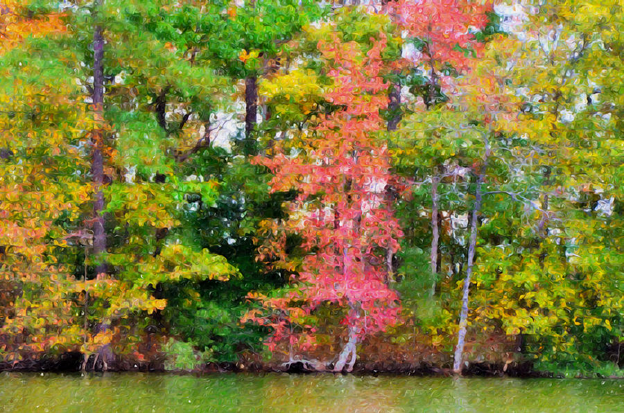 Fall Painting - Autumn color in Norfolk botanical Garden  5 by Jeelan Clark