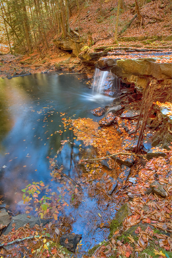 Autumn Color In Pond Photograph by John Magyar Photography