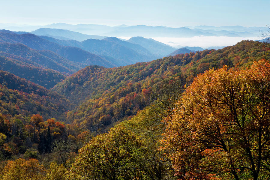 Autumn Color In The Valley, Great Smoky Photograph by Gayle Harper ...