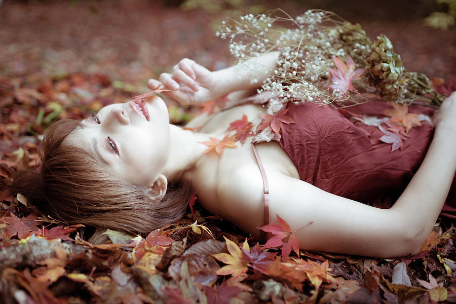Autumn Color Photograph by Kazuhiko Kihara
