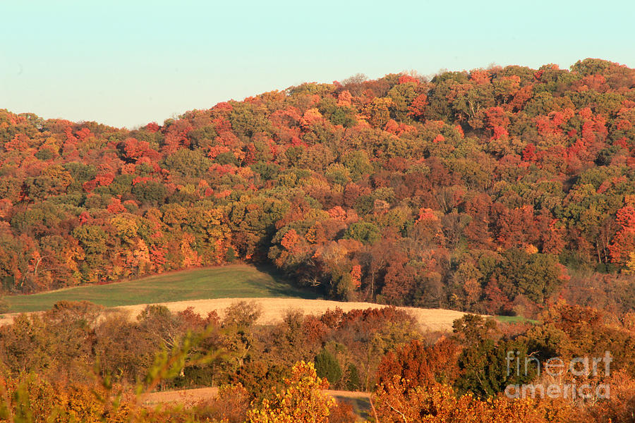 Autumn Color on Rolling Hills Photograph by Adam Long