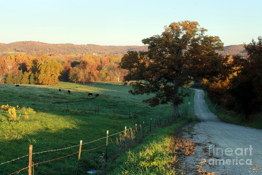 Autumn Color on Rolling Hills and Farmland Photograph by Adam Long
