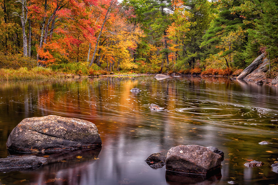 Autumn Color On The Isinglass River Photograph by Jeff Sinon