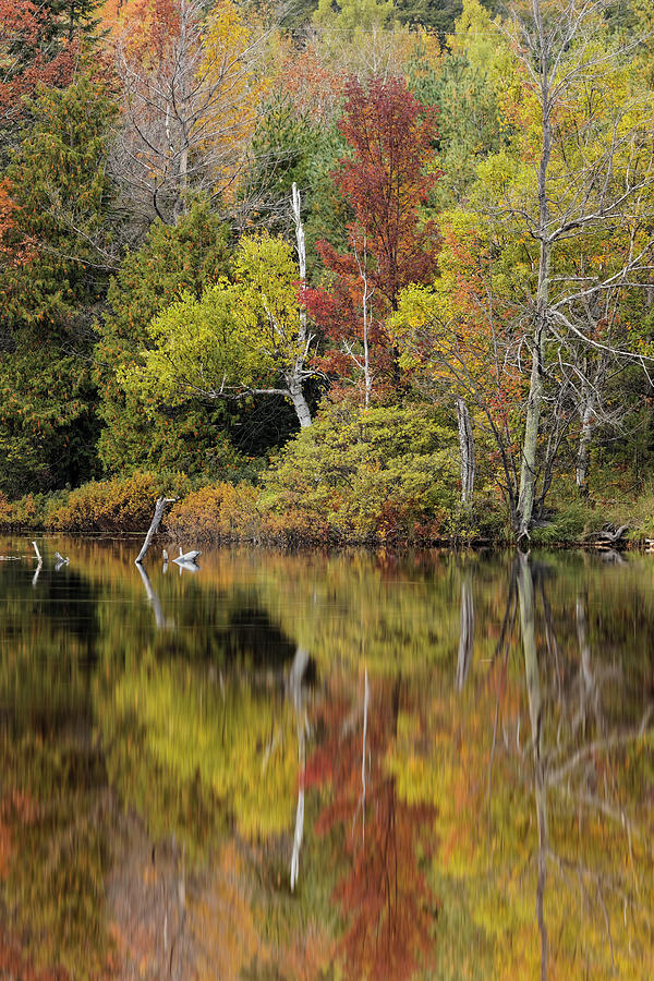 Adam Jones Photograph - Autumn Color Reflected On Andrus Lake by Adam Jones