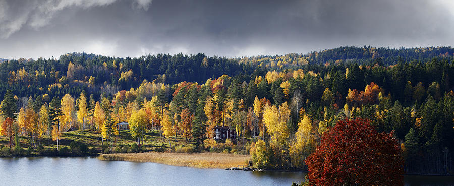 Autumn Colored Nature And Landscape Photograph by Christian Lagereek