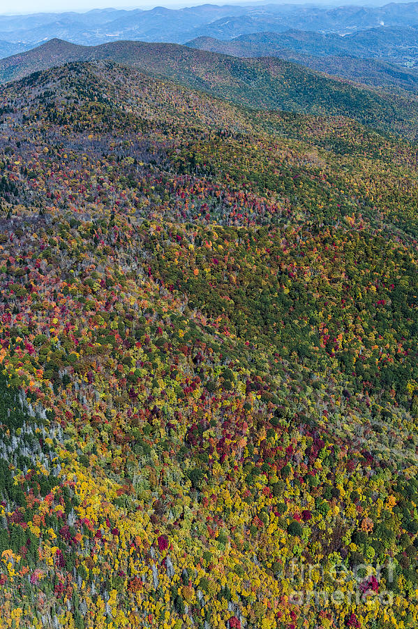 Autumn Colors Along The Blue Ridge Parkway in Western North Carolina #1 Photograph by David Oppenheimer