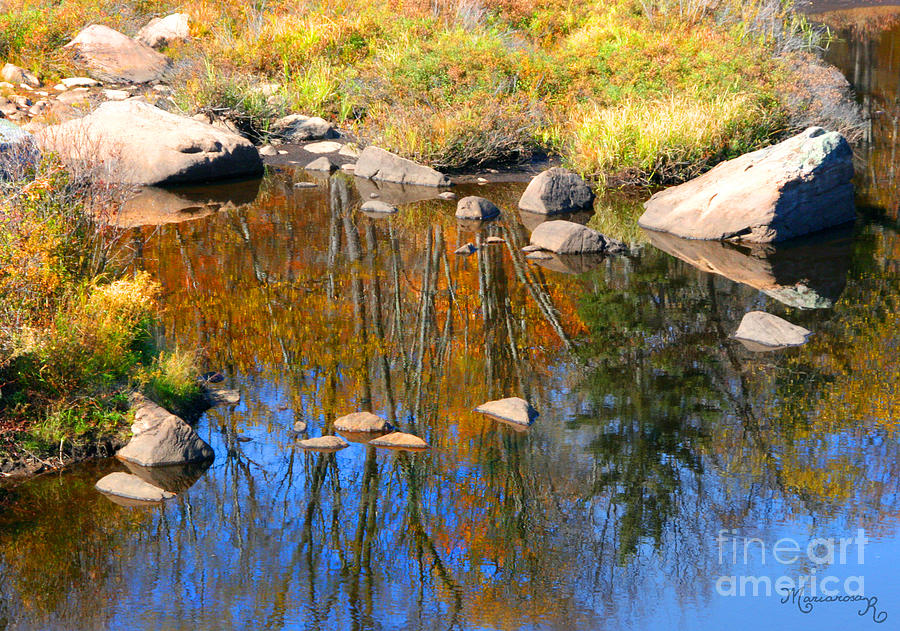 Autumn Colors And Reflections Photograph by Mariarosa Rockefeller