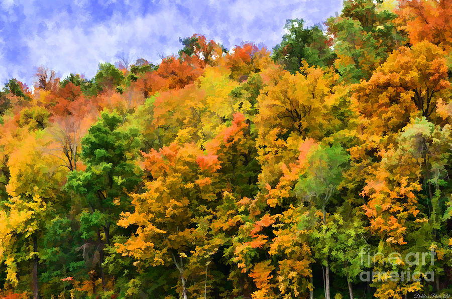 Autumn Colors Apearing I - Digital Paint Photograph by Debbie Portwood