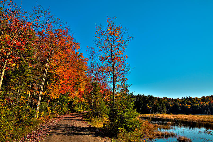 Autumn Colors at Cary Lake Photograph by David Patterson