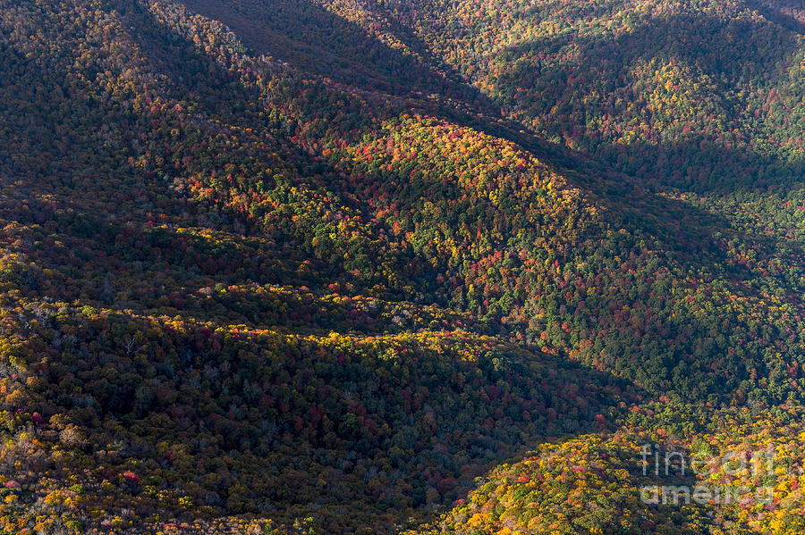 Autumn Colors at Craggy Gardens along the Blue Ridge Parkway #1 Photograph by David Oppenheimer