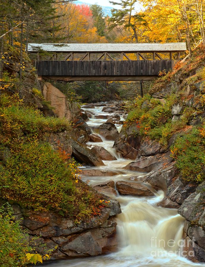 Autumn Colors At Franconia Notch Photograph by Adam Jewell