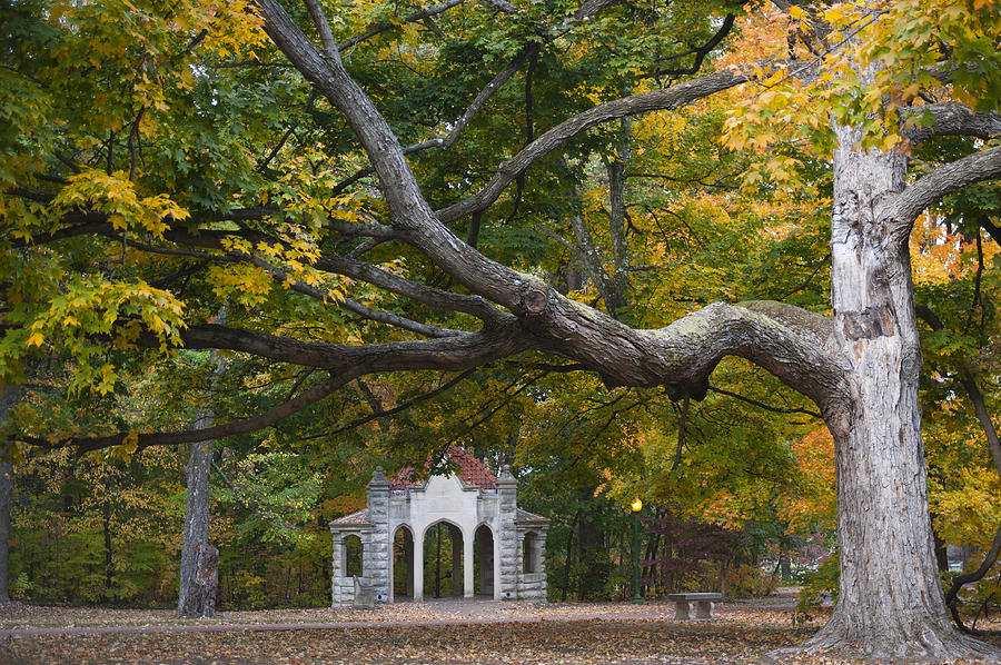 Indiana University Photograph - Autumn Colors at Indiana University by Shelley Dennis