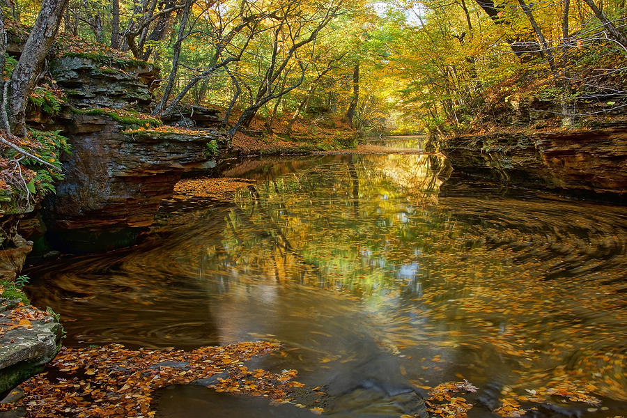 Autumn Colors at Skillet Creek Photograph by Leda Robertson