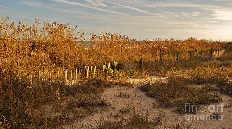 Autumn Colors At The Beach 2 Photograph by Bob Sample