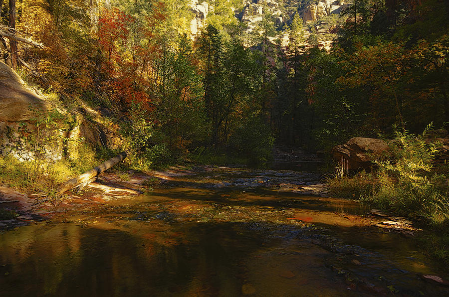 Autumn Colors by the Creek  Photograph by Saija Lehtonen