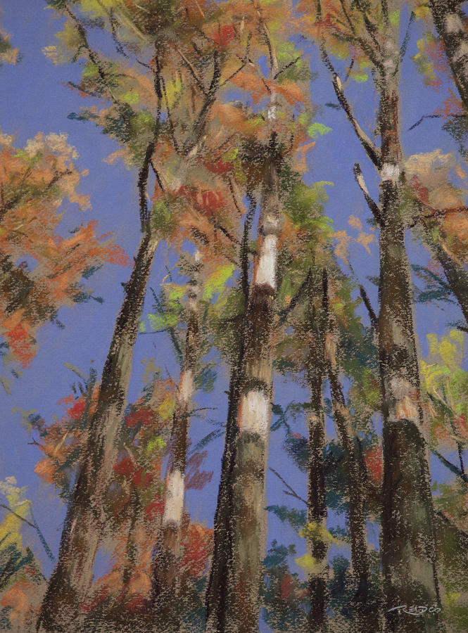 Autumn Colors Pastel by Christopher Reid