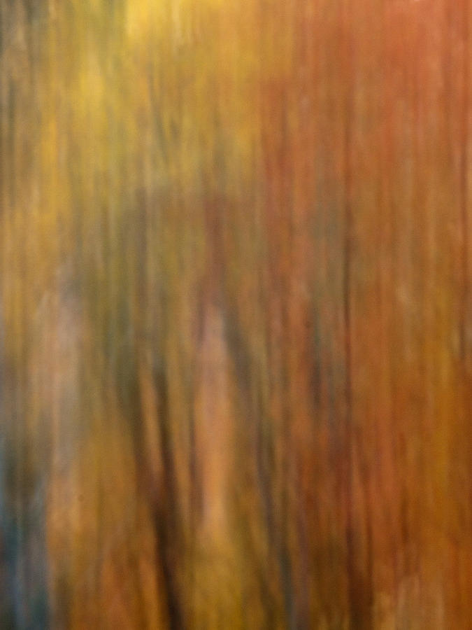 Autumn Colors II Photograph by Daniel Csoka