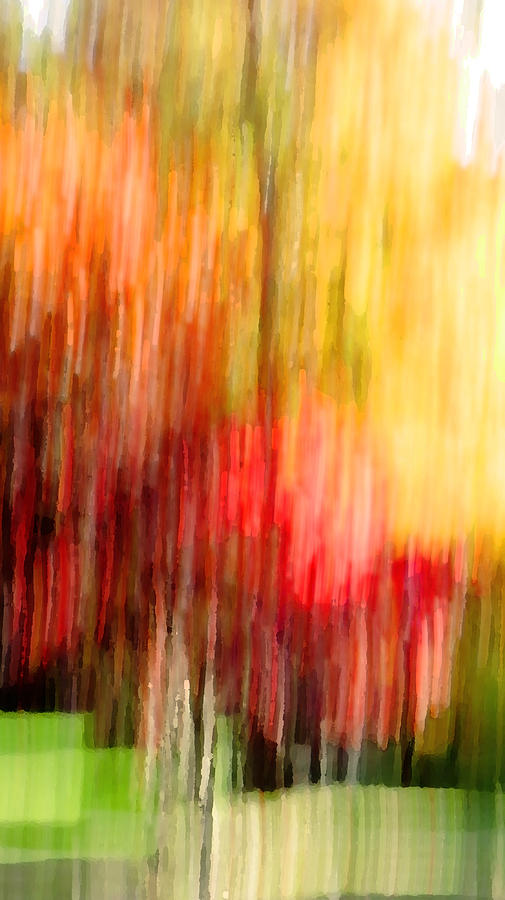 Autumn Colors in abstract Digital Art by Kathleen Illes