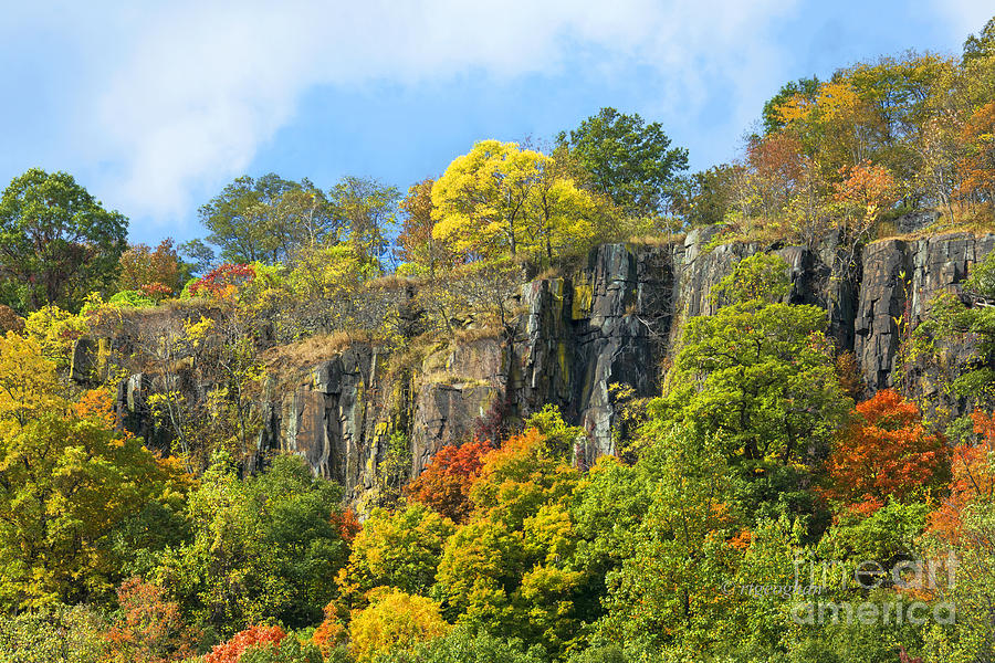 Autumn Colors NJ Palisades 2 Photograph by Regina Geoghan - Fine Art ...