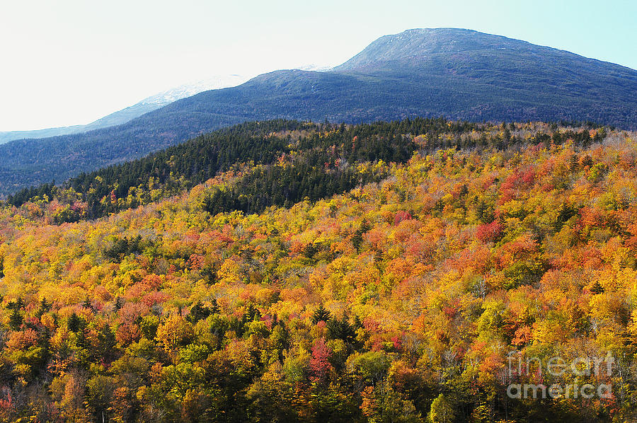 Autumn Colors On Mount Washington Photograph by Gregory G. Dimijian