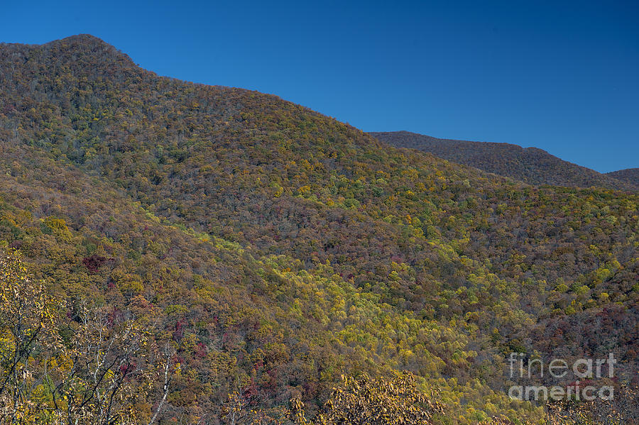 Autumn Colors on Mountains from Blue Ridge Parkway Photograph by David Oppenheimer